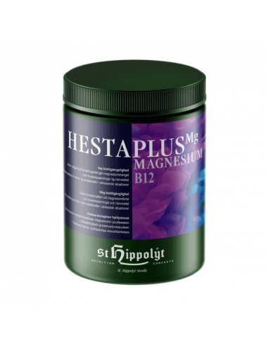 St Hippolyt Hestaplus Magnesium B12 1kg
