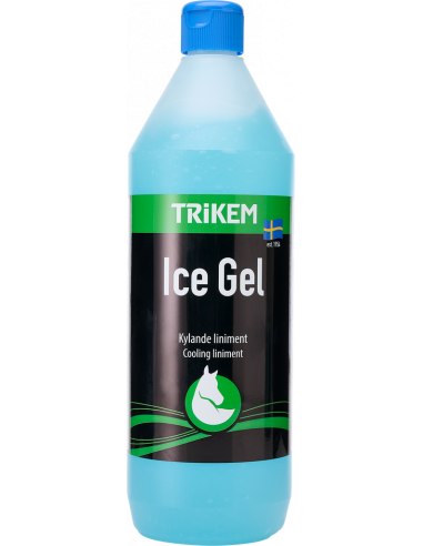 Radital Ice Gel 1L