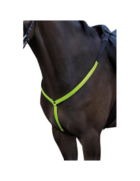 Horse Guard Reflexbrösta