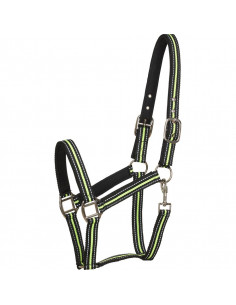 Horse Guard Reflexgrimma