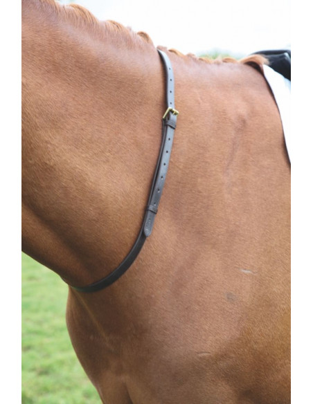 Shires Velociti Gara Halsrem