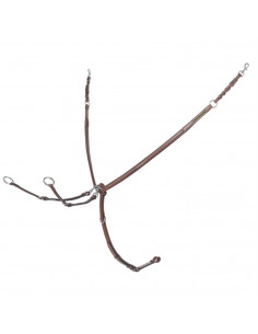 Renaissance Evo Two Points förbygel med martingal