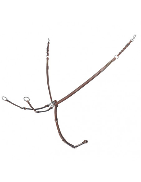 Renaissance Evo Two Points förbygel med martingal