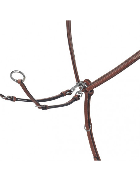 Renaissance Evo Two Points förbygel med martingal