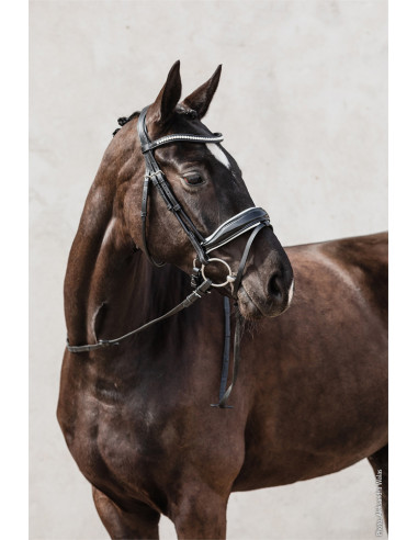 Schockemöhle Malibu träns