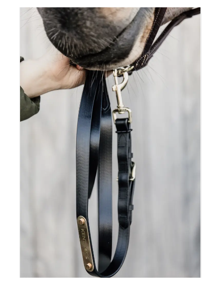 Kentucky Grimskaft 2m