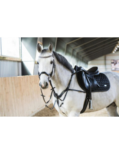 Horse Guard Luke Förbygel