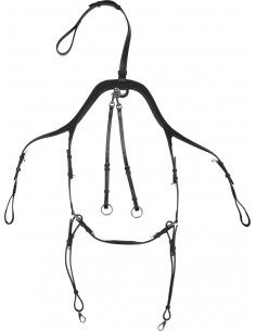 Horse Guard Luke Förbygel 2