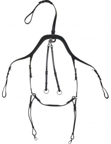 Horse Guard Luke Förbygel