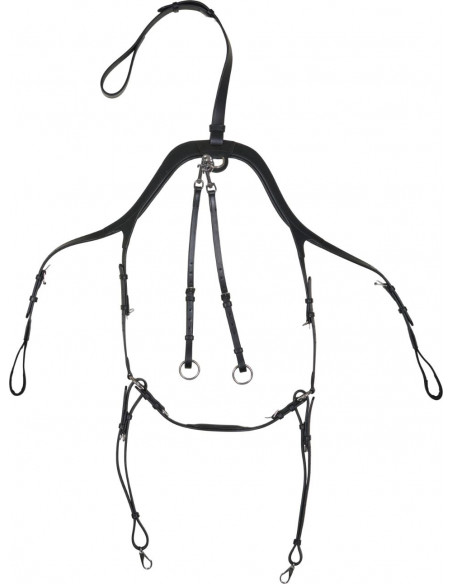 Horse Guard Luke Förbygel