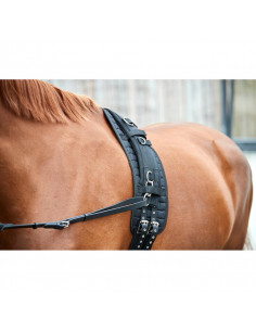 Horse Guard Kali Pad till Longeringsgjord 2