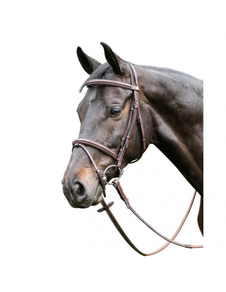 Prestige E37 Träns raised komb nosgrimma