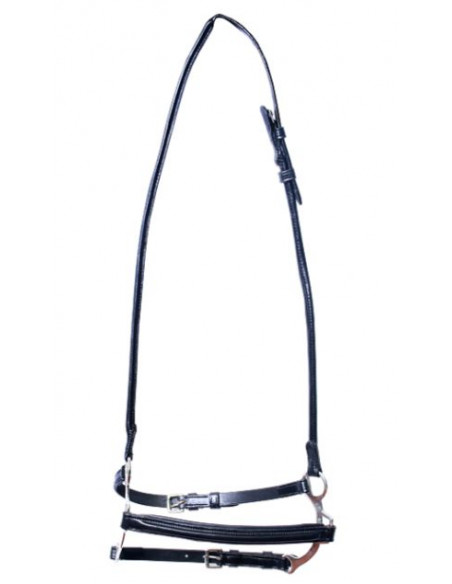 Tindur Bygelnosgrimma Rundsytt