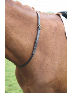 Shires halsrem Havanna