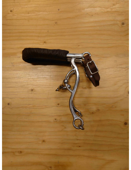 Globus Kombinationsbett 11,5cm