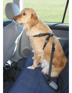 Trixie Bilsele till hund