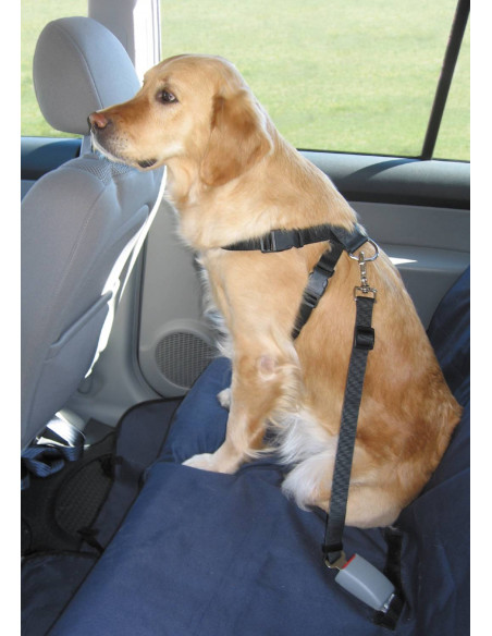 Trixie Bilsele till hund