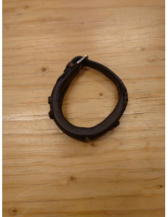 Glen Gordon Nexus Hundhalsband 2