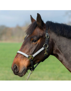 Reflexgrimma Svart Ponny