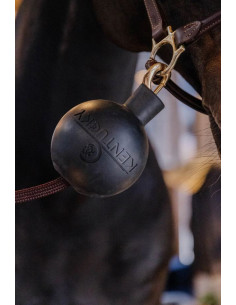 Kentucky Lead & Wall protection rubber ball