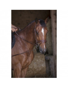 Inspänningstygel med pulleys 2