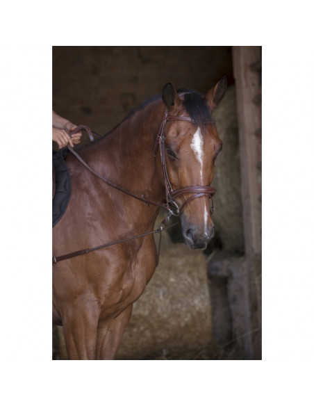 Inspänningstygel med pulleys