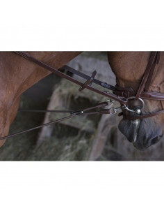 Inspänningstygel med pulleys