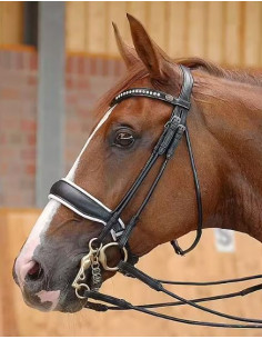 Dyón Rundsytt träns vitfodrad bred pullback Dressage...