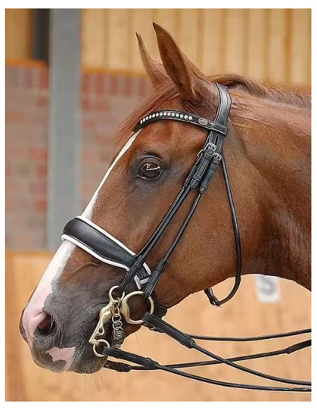 Dyón Rundsytt träns vitfodrad bred pullback Dressage Collection