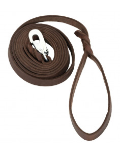 Läderkoppel BGB-hake 2m 2