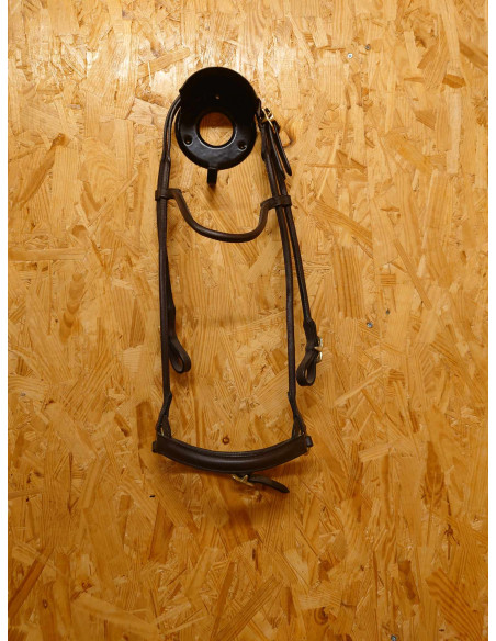 Globus Islandsträns Ziza