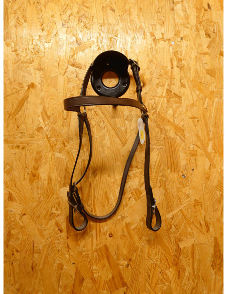 Riders Company Islandsträns