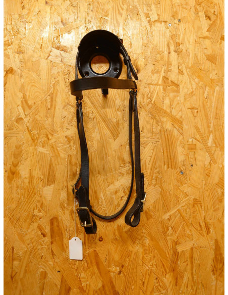 Riders Company Islandsträns