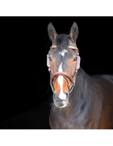 By Equality Line Fokus