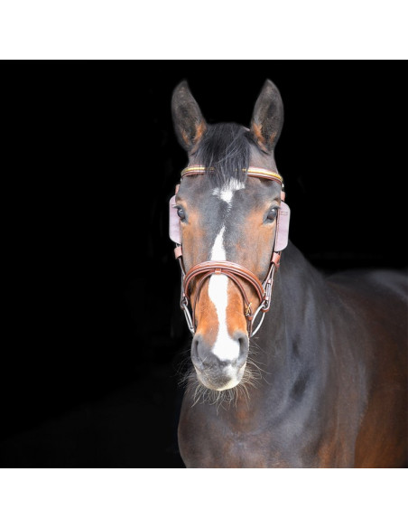 By Equality Line Fokus