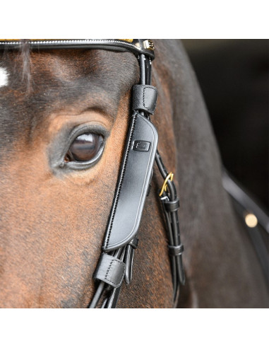 By Equality Line Fokus