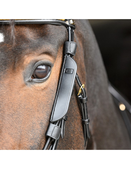 By Equality Line Fokus