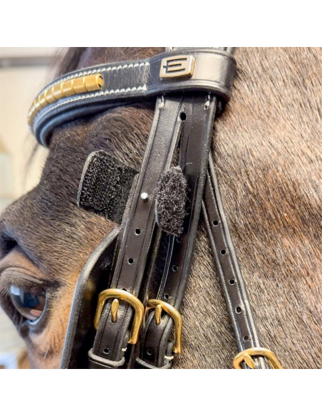 By Equality Line Fokus