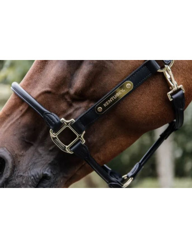 Kentucky Name/Logo Plate Halter Gold