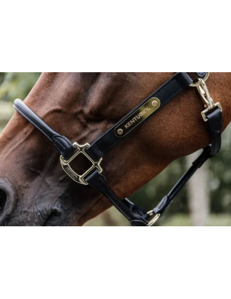 Kentucky Name/Logo Plate Halter Gold