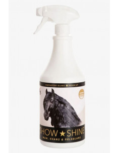 Protector Show Shine 1L