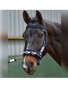 John Whitaker Kapson