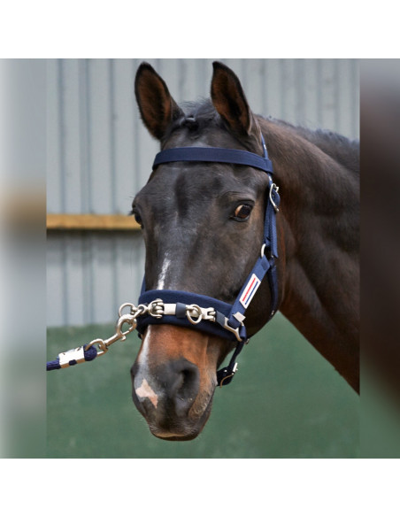 John Whitaker Kapson