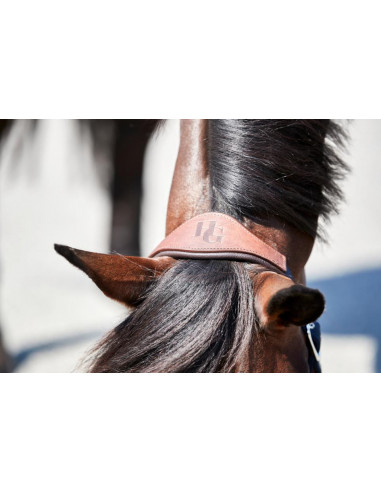 Horse Guard Keisha Grimma