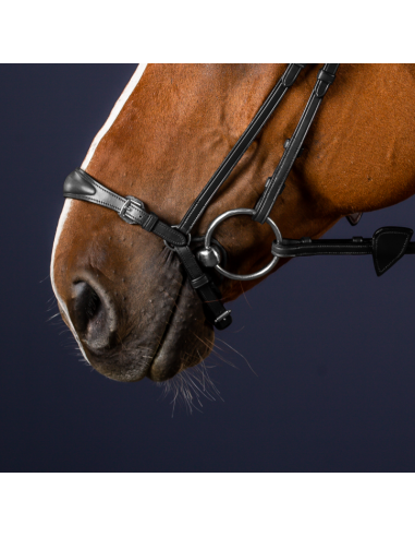 Dyón Remontnosgrimma New England collection