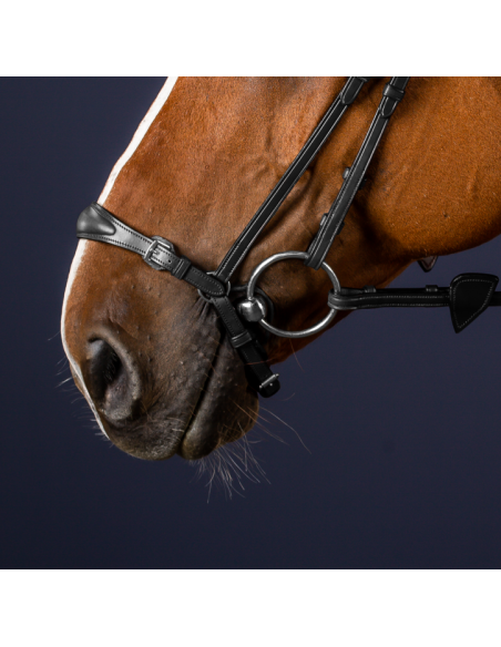 Dyón Remontnosgrimma New England collection