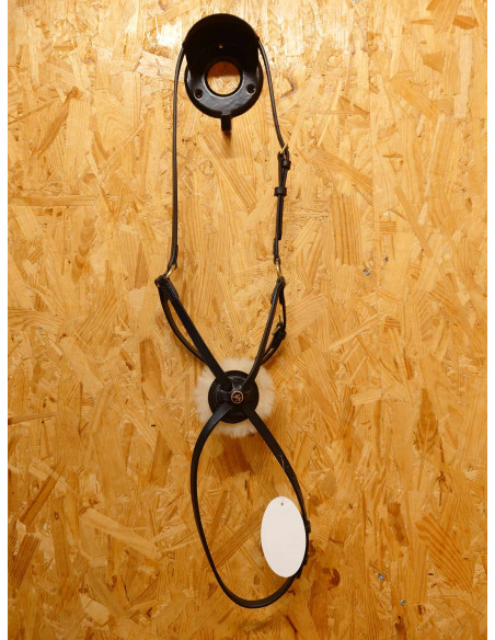 Morris & Nolan Pullarnosgrimma