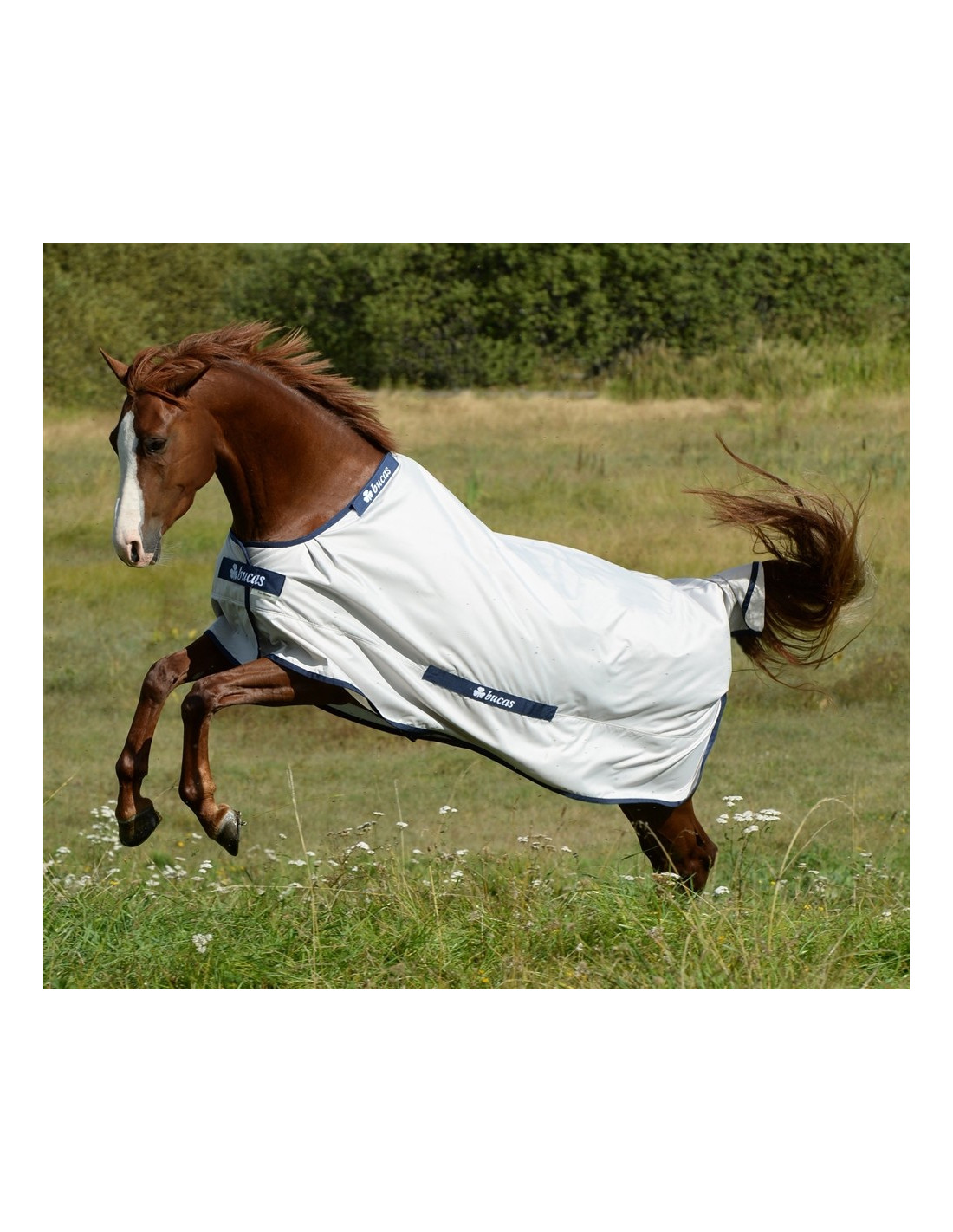 Couverture De Pluie Légère Bucas Sun-Shower Pour Cheval - Taille 140 - Couleur Argent Réfléchissante