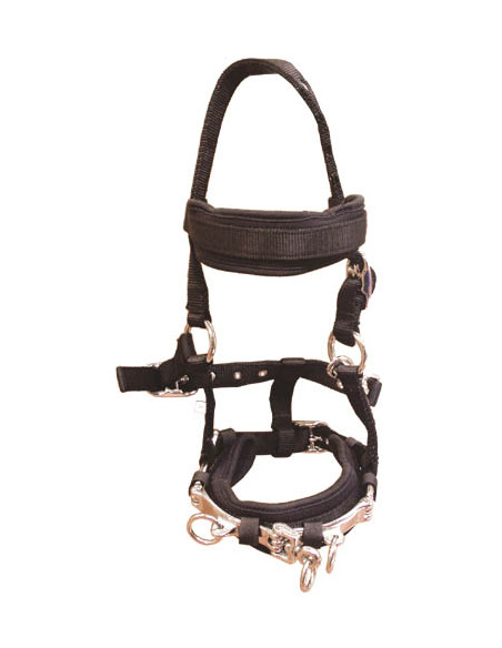 Globus Kapson Nylon Svart Full