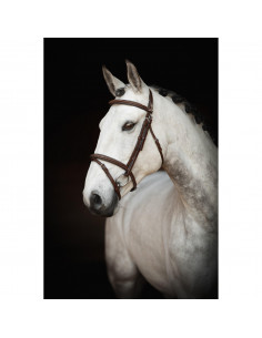 Lippo Träns Fancy Slim